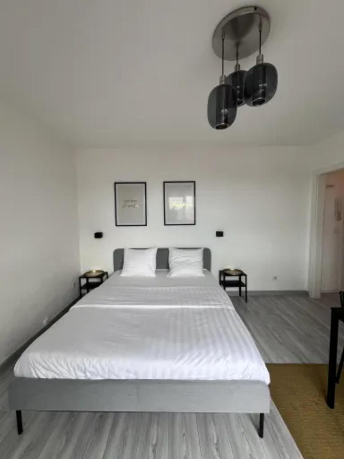 Cosy Rent Strasbourg Wifi Terrasse St Aloise Villa Exteriör bild